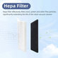 HEPA filtr, 2 ks pro Rowenta X-plorer S65, S65+, S70, S70+, S75s, S75s+
