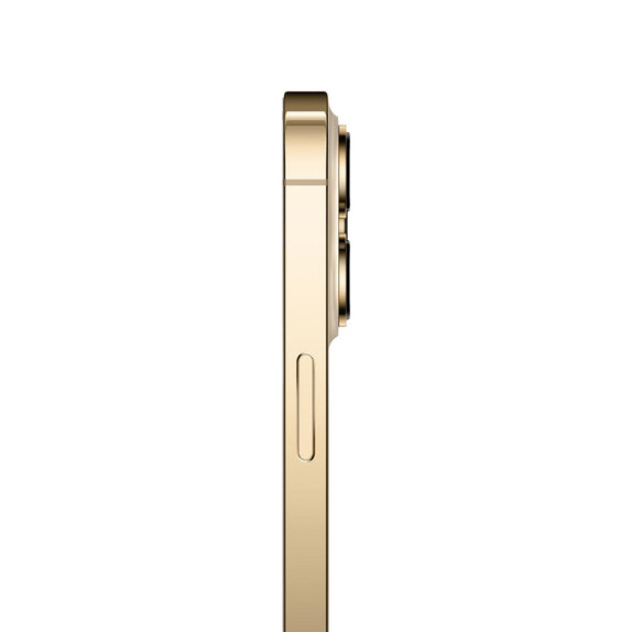 Apple iPhone 13 Pro Max Gold 1TB A Repasovaný
