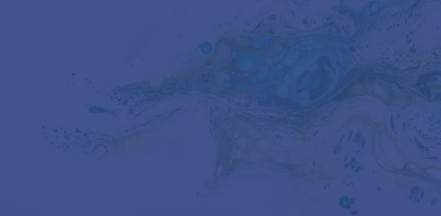 593572