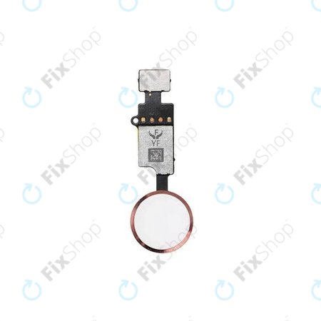 Apple iPhone 7 Plus - Tlačítko Domů + Flex Kabel (Rose Gold)